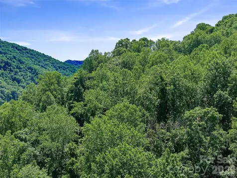 9999 Lovebird Lane Candler NC 28715