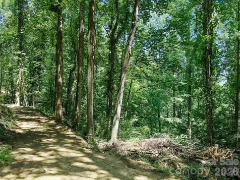9999 Lovebird Lane Candler NC 28715