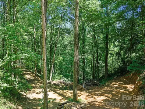 9999 Lovebird Lane Candler NC 28715