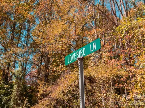 9999 Lovebird Lane Candler NC 28715