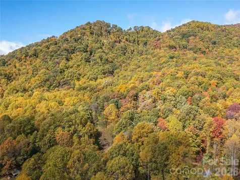 9999 Lovebird Lane Candler NC 28715
