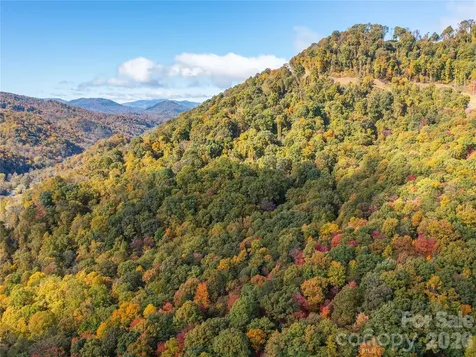 9999 Lovebird Lane Candler NC 28715