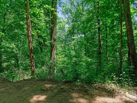 9999 Lovebird Lane Candler NC 28715