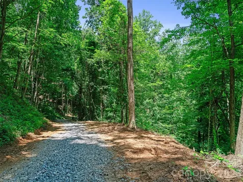 9999 Lovebird Lane Candler NC 28715