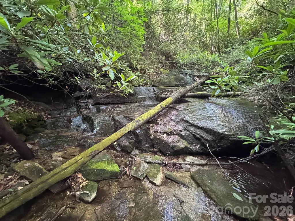 000 Chestnut Oak Lane Pisgah Forest NC 28768