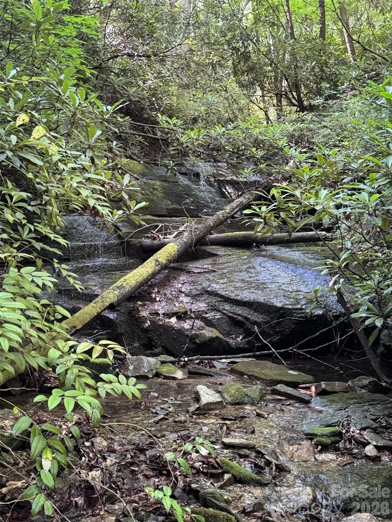 000 Chestnut Oak Lane Pisgah Forest NC 28768