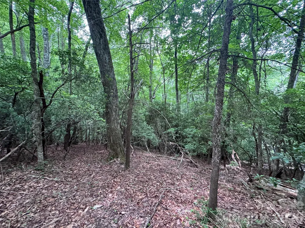 000 Chestnut Oak Lane Pisgah Forest NC 28768