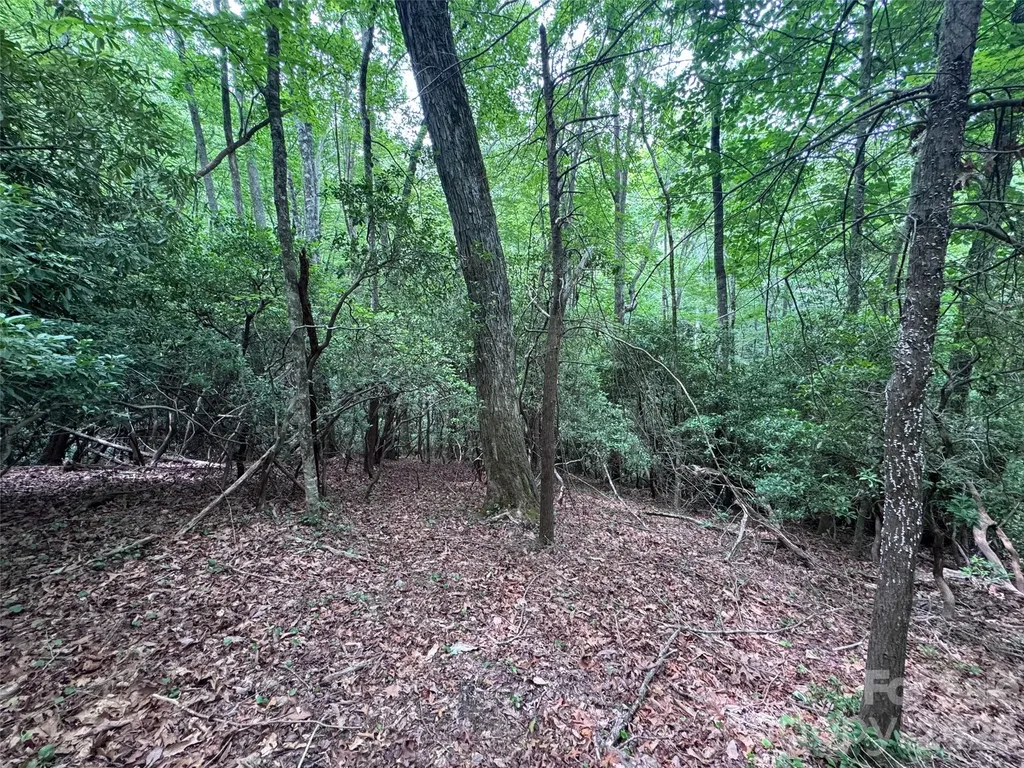 000 Chestnut Oak Lane Pisgah Forest NC 28768