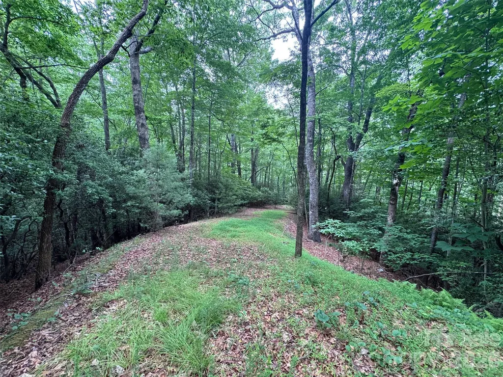 000 Chestnut Oak Lane Pisgah Forest NC 28768
