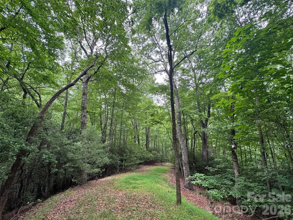 000 Chestnut Oak Lane Pisgah Forest NC 28768