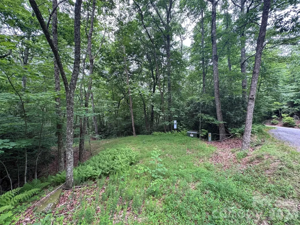 000 Chestnut Oak Lane Pisgah Forest NC 28768