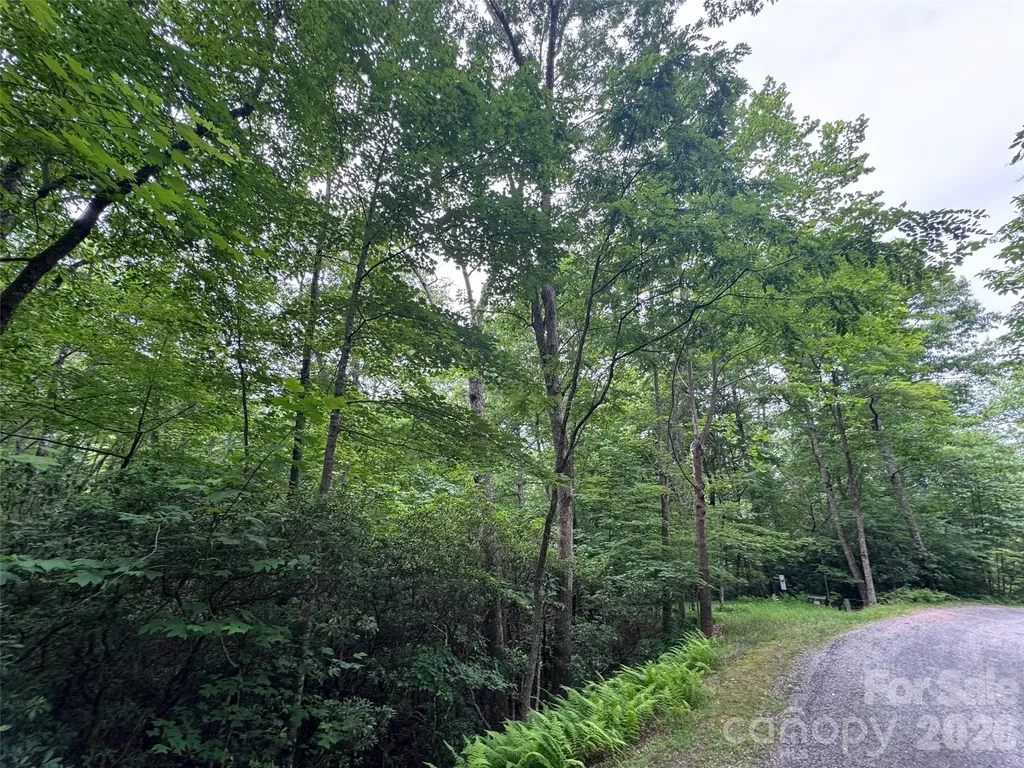 000 Chestnut Oak Lane Pisgah Forest NC 28768