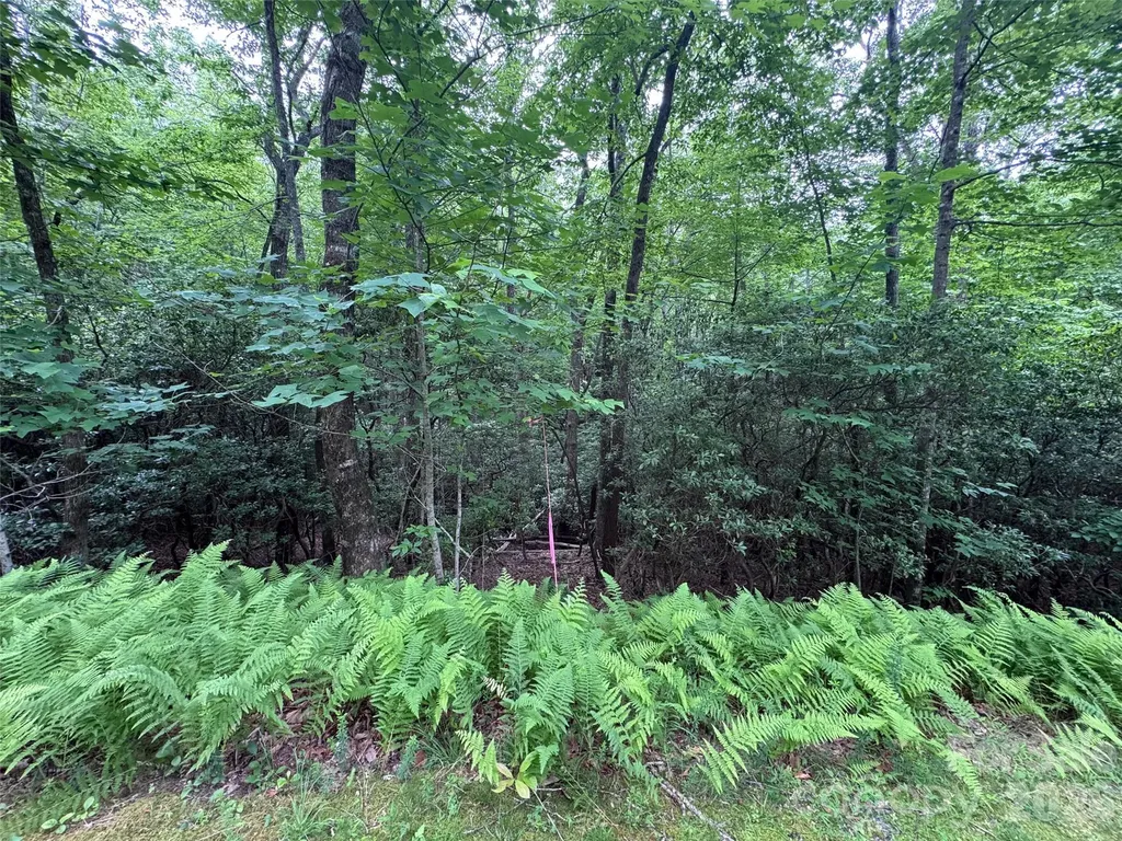 000 Chestnut Oak Lane Pisgah Forest NC 28768