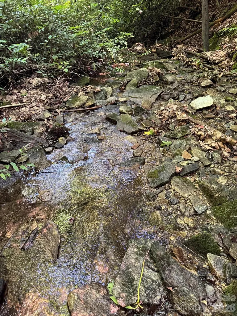 000 Chestnut Oak Lane Pisgah Forest NC 28768