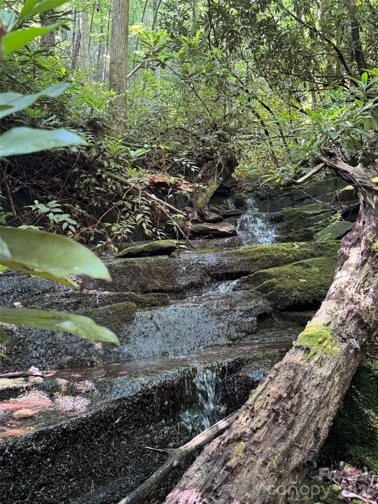 000 Chestnut Oak Lane Pisgah Forest NC 28768