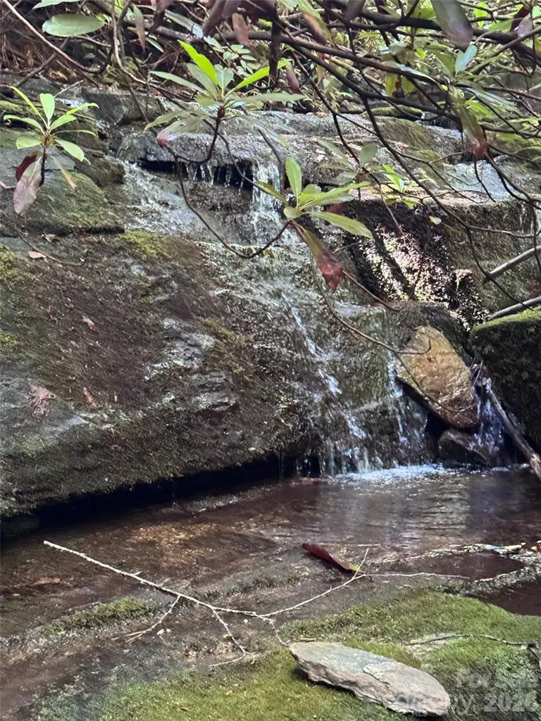 000 Chestnut Oak Lane Pisgah Forest NC 28768