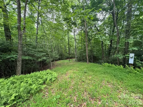 000 Chestnut Oak Lane Pisgah Forest NC 28768