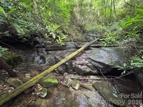 000 Chestnut Oak Lane Pisgah Forest NC 28768