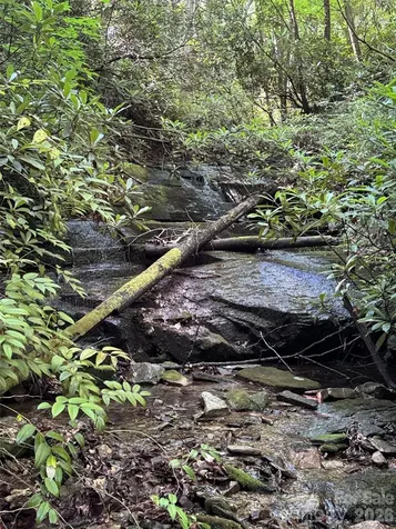 000 Chestnut Oak Lane Pisgah Forest NC 28768