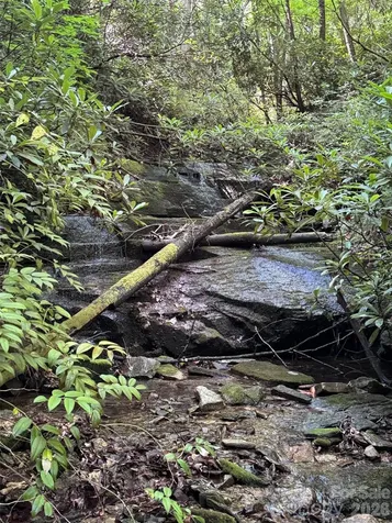 000 Chestnut Oak Lane Pisgah Forest NC 28768