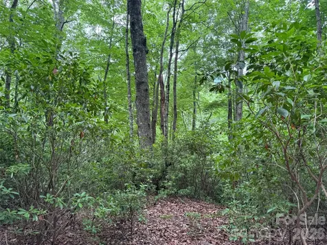 000 Chestnut Oak Lane Pisgah Forest NC 28768