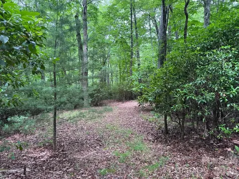 000 Chestnut Oak Lane Pisgah Forest NC 28768