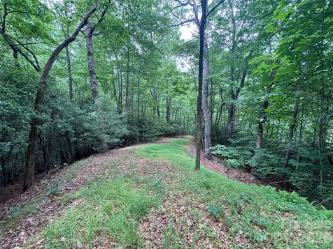 000 Chestnut Oak Lane Pisgah Forest NC 28768