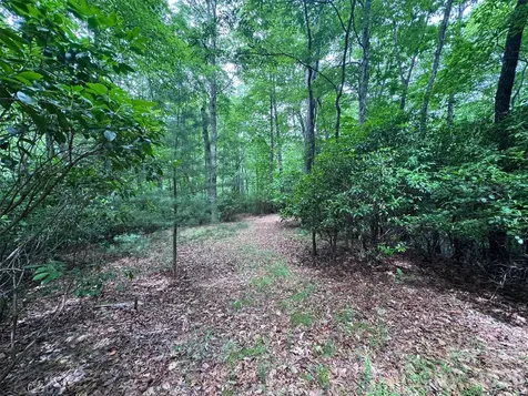 000 Chestnut Oak Lane Pisgah Forest NC 28768