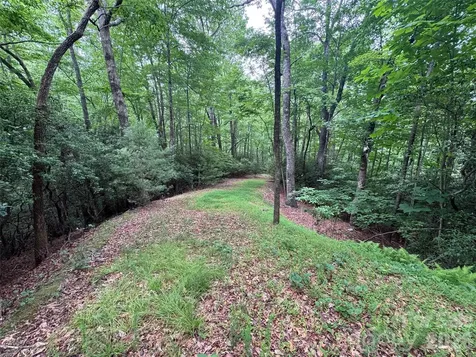 000 Chestnut Oak Lane Pisgah Forest NC 28768