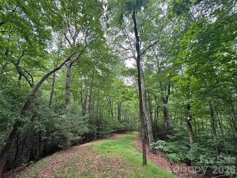 000 Chestnut Oak Lane Pisgah Forest NC 28768