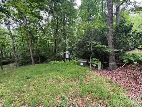 000 Chestnut Oak Lane Pisgah Forest NC 28768