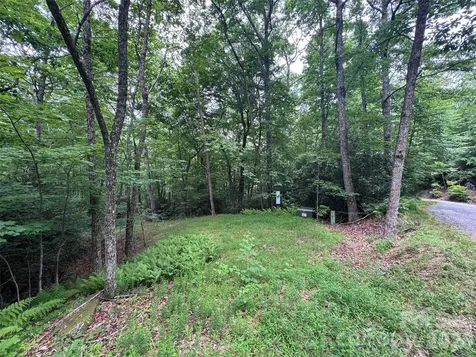 000 Chestnut Oak Lane Pisgah Forest NC 28768