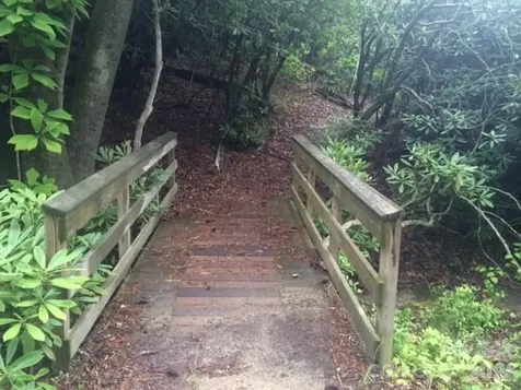 000 Chestnut Oak Lane Pisgah Forest NC 28768