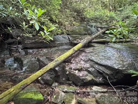 000 Chestnut Oak Lane Pisgah Forest NC 28768