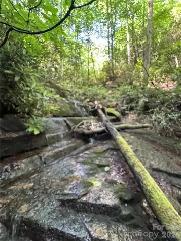 000 Chestnut Oak Lane Pisgah Forest NC 28768