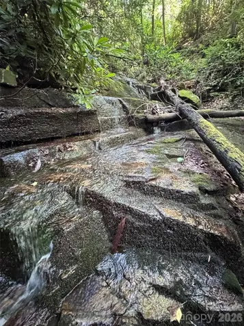 000 Chestnut Oak Lane Pisgah Forest NC 28768