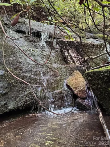 000 Chestnut Oak Lane Pisgah Forest NC 28768