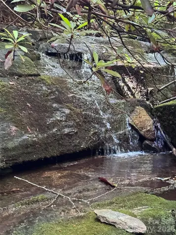 000 Chestnut Oak Lane Pisgah Forest NC 28768
