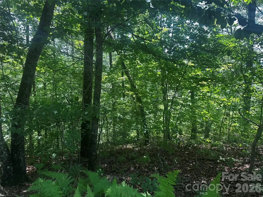 0 South Drive Lake Lure NC 28746