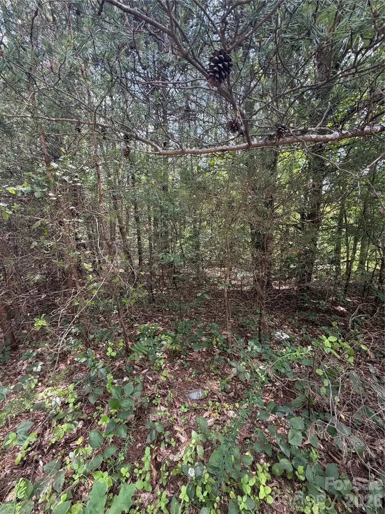 3542 Vilas Road Claremont NC 28610
