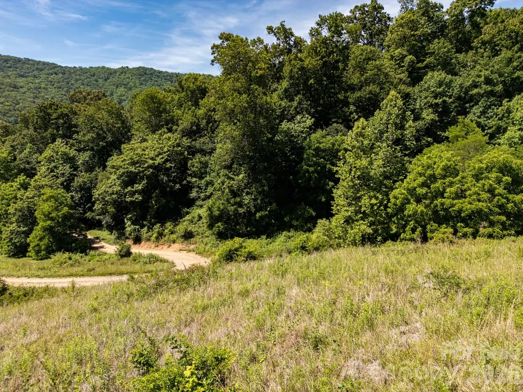 999 Murphy Cove Road Candler NC 28715
