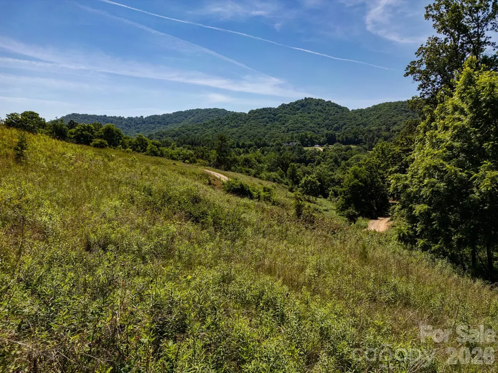 999 Murphy Cove Road Candler NC 28715
