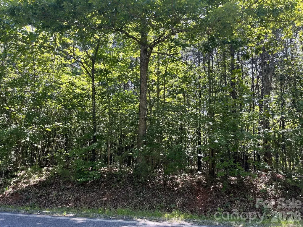 0 Rock Road Rutherfordton NC 28139