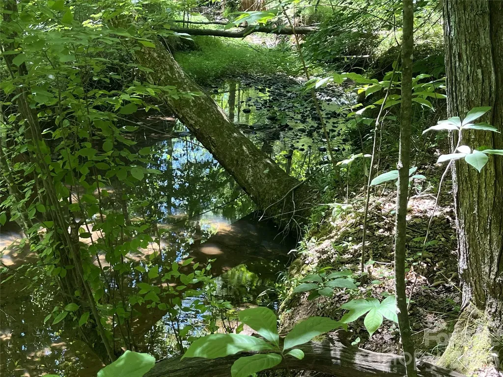 0 Rock Road Rutherfordton NC 28139