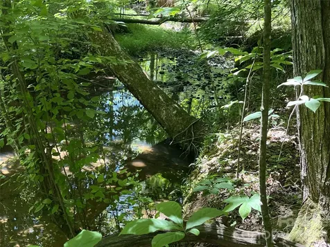 0 Rock Road Rutherfordton NC 28139