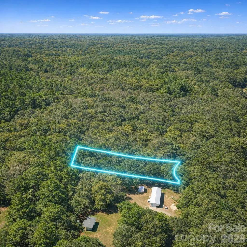 0 Twin Lane Grover NC 28073