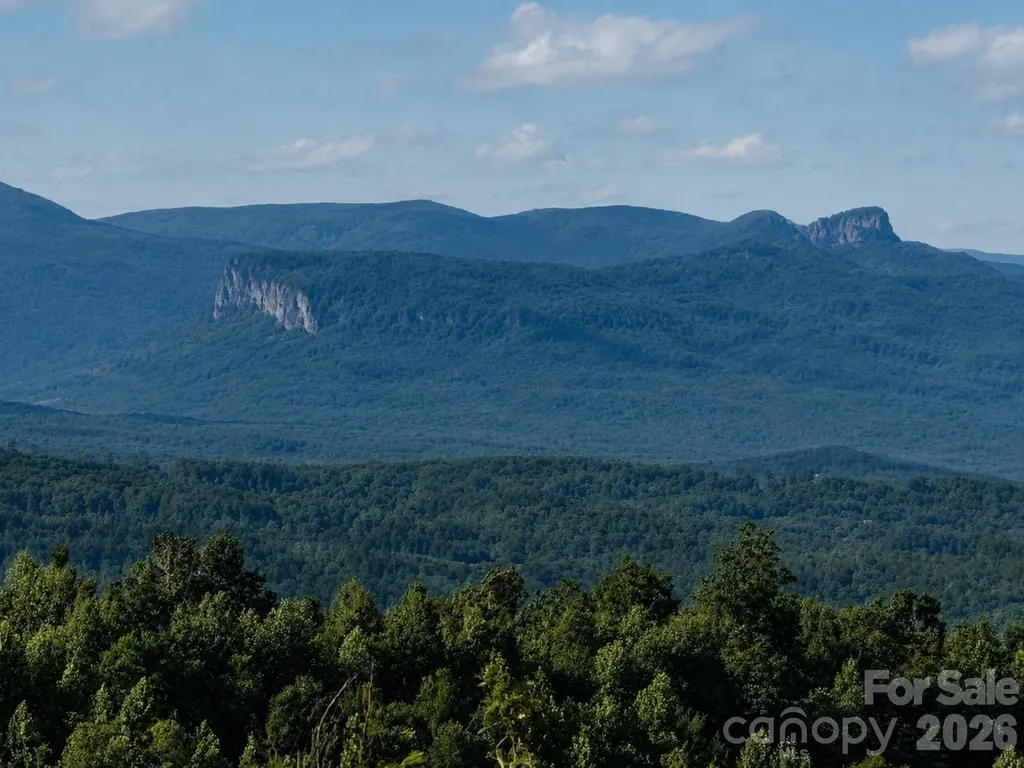 253 Falls Creek Drive Nebo NC 28761