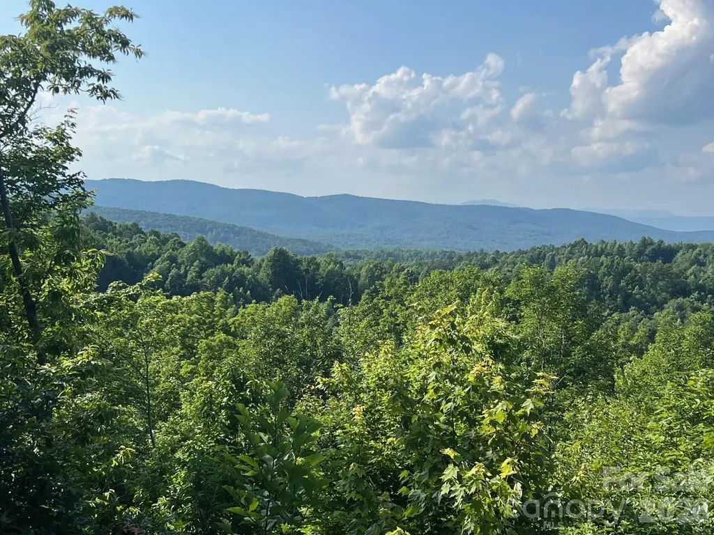 253 Falls Creek Drive Nebo NC 28761
