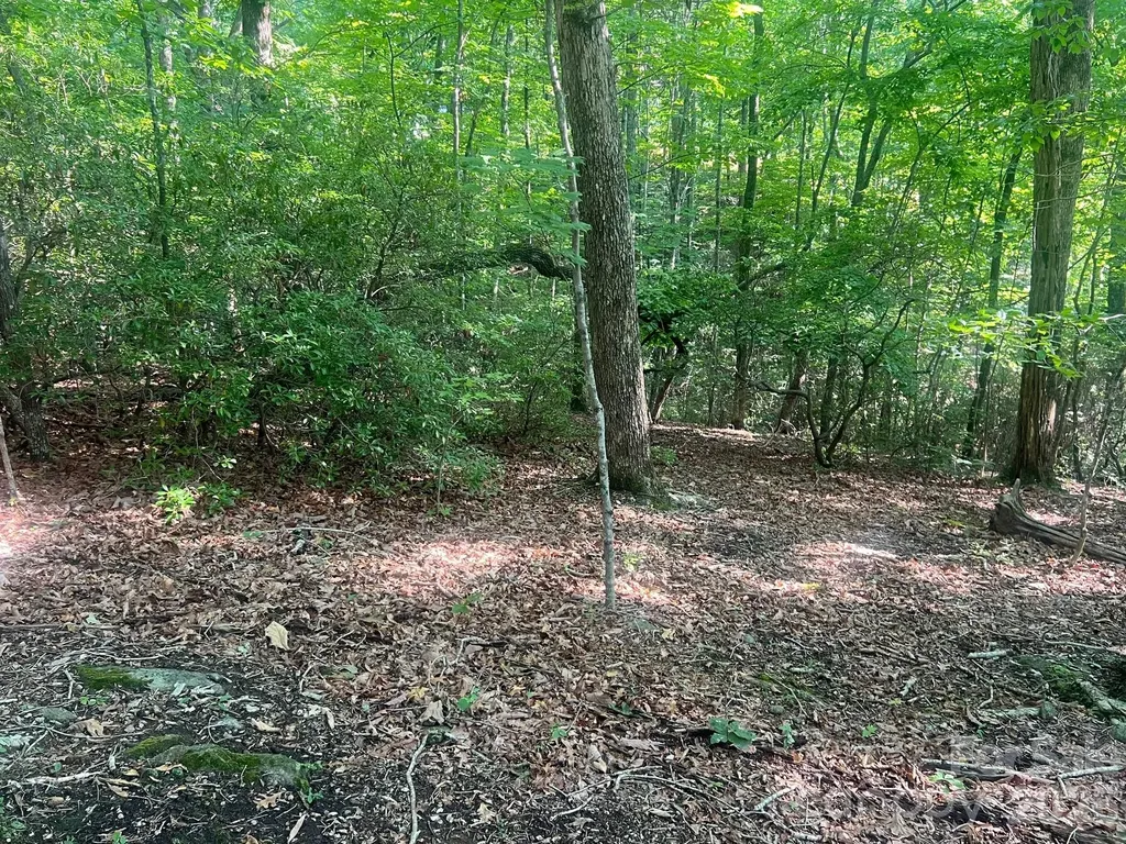 253 Falls Creek Drive Nebo NC 28761