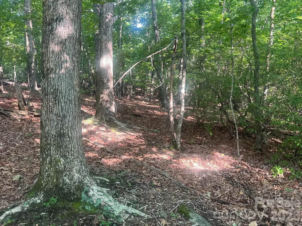 253 Falls Creek Drive Nebo NC 28761